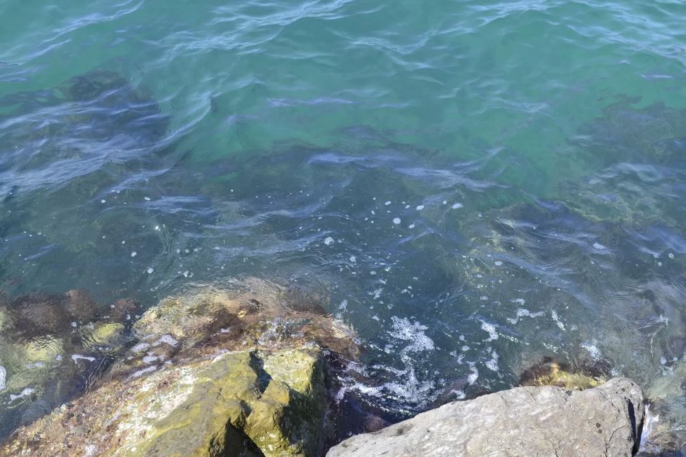 Пляжи Чёрного моря: красота, которая может разочаровать Пляжи Чёрного моря: красота, которая может разочаровать