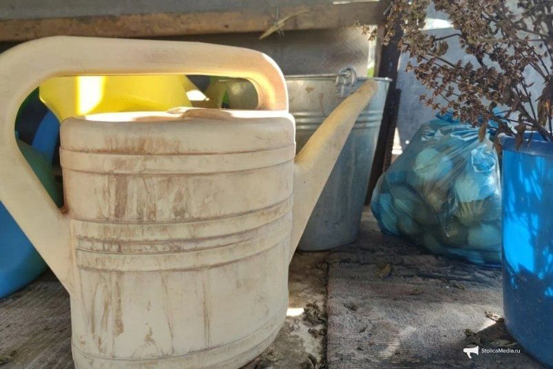 Органическая защита для вашего картофеля: простой способ обезопасить урожай Органическая защита для вашего картофеля: простой способ обезопасить урожай