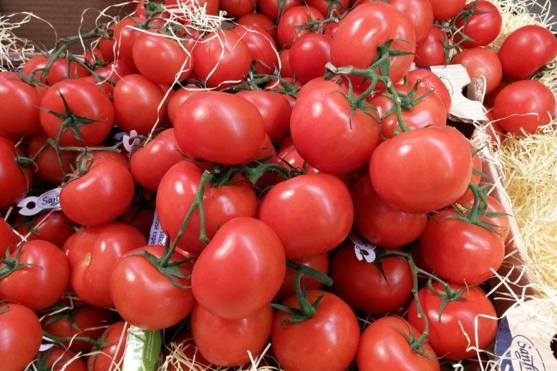 Секрет богатого урожая помидоров: как рыба помогает вырастить крупные и вкусные томаты Секрет богатого урожая помидоров: как рыба помогает вырастить крупные и вкусные томаты