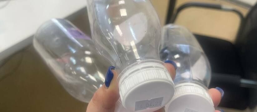 Как пластиковые бутылки и зубочистки помогут вам в саду Как пластиковые бутылки и зубочистки помогут вам в саду