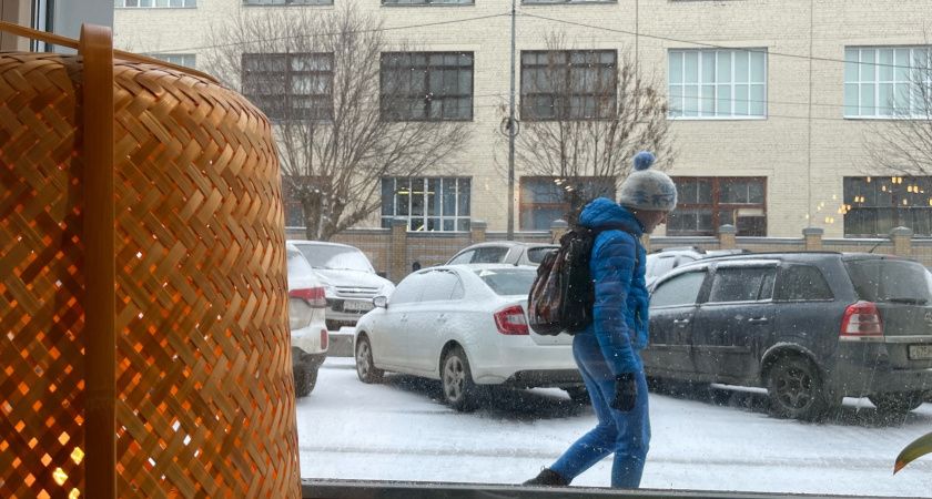 Майские заморозки: как защитить урожай от резкого похолодания Майские заморозки: как защитить урожай от резкого похолодания