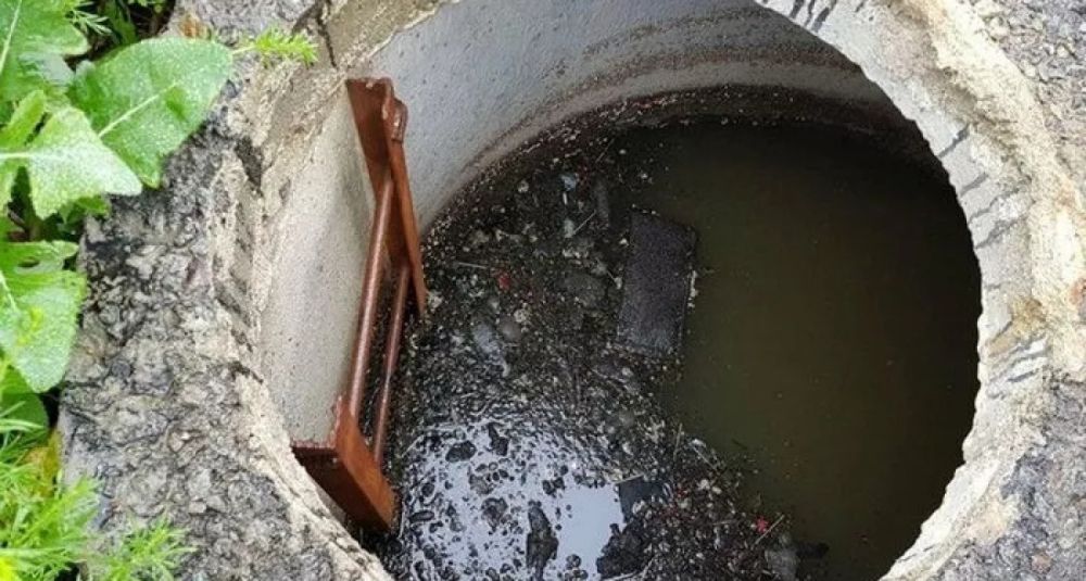 Выгребная яма больше не проблема: деревенский лайфхак против запаха и застоя воды Выгребная яма больше не проблема: деревенский лайфхак против запаха и застоя воды