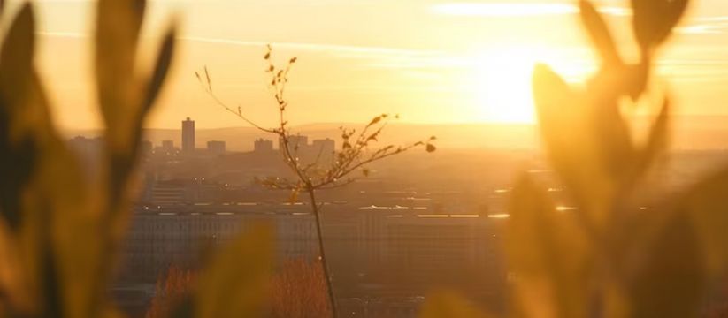 Жара в Самарской области: готовимся к настоящему лету! Жара в Самарской области: готовимся к настоящему лету!