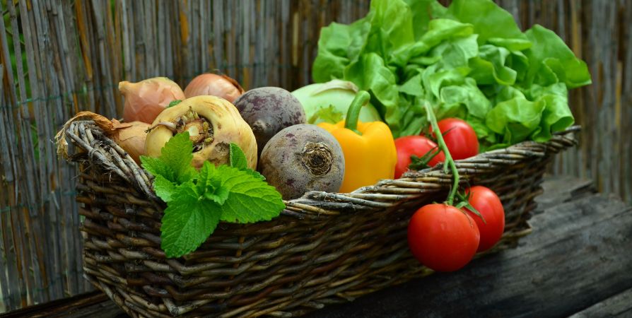 Кубанский салат: пикантная заготовка на зиму Кубанский салат: пикантная заготовка на зиму