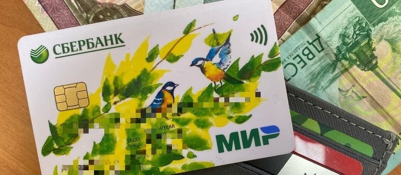 Пенсионерам с дачей — поддержка от государства: выплаты и защита от клещей Пенсионерам с дачей — поддержка от государства: выплаты и защита от клещей