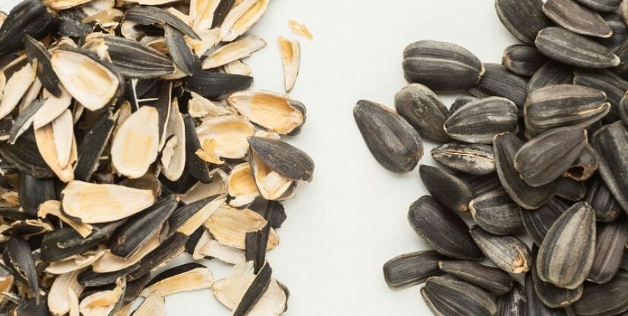 Семечки для пожилых: почему стоит обратить внимание на этот простой продукт Семечки для пожилых: почему стоит обратить внимание на этот простой продукт