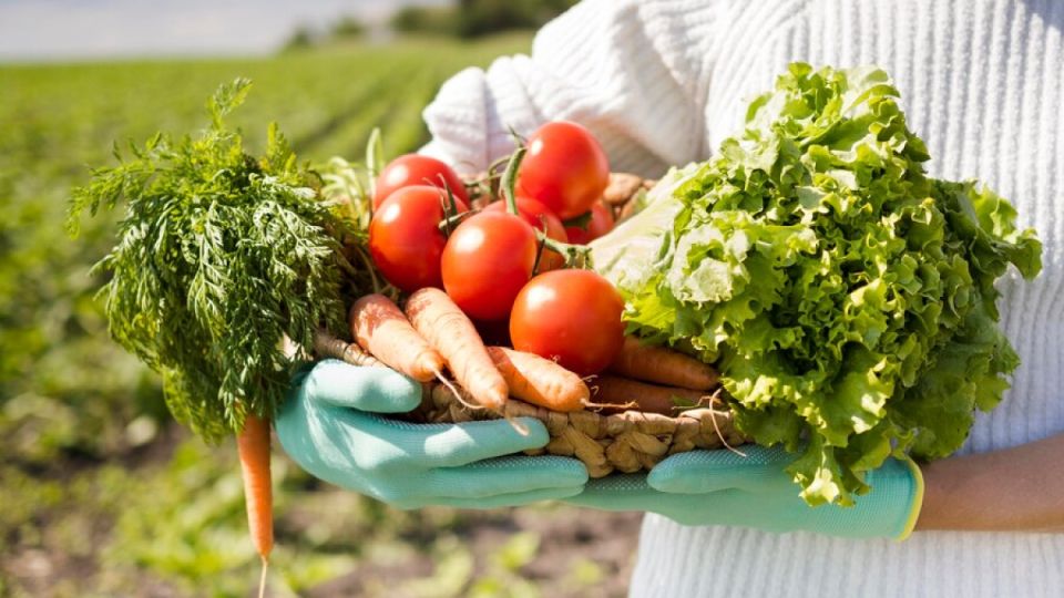 Как ретроградный Меркурий поможет вам вырастить крепкие и здоровые овощи Как ретроградный Меркурий поможет вам вырастить крепкие и здоровые овощи