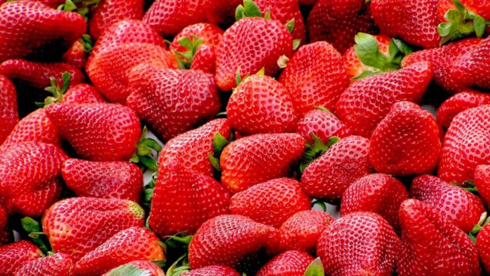 Как вырастить крупную и сочную клубнику: секреты для всех Как вырастить крупную и сочную клубнику: секреты для всех