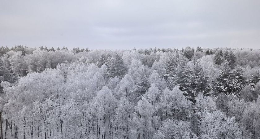 Июньские сюрпризы: что ждёт жителей Центральной России в начале лета Июньские сюрпризы: что ждёт жителей Центральной России в начале лета