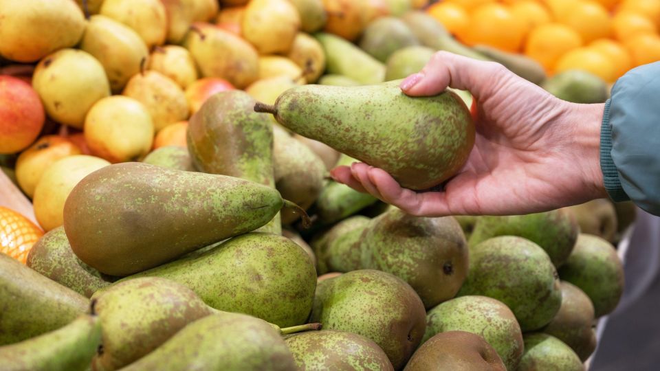 Как выбрать самую вкусную грушу: секрет спелости Как выбрать самую вкусную грушу: секрет спелости