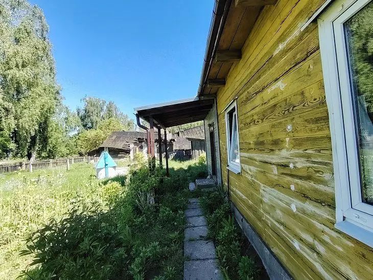 Выбор дерева для строительства: сосна потеряла свою популярность Выбор дерева для строительства: сосна потеряла свою популярность