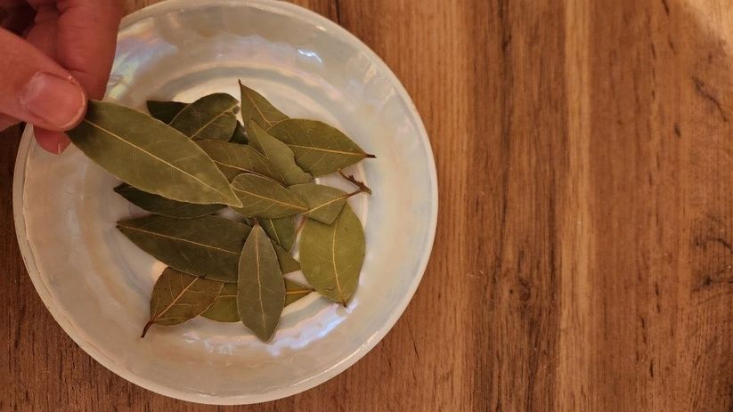 Лавровый лист: не только для кулинарии Лавровый лист: не только для кулинарии