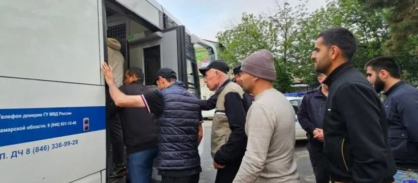Рейд по мигрантам на овощебазе: эпические попытки бегства и результаты проверки Рейд по мигрантам на овощебазе: эпические попытки бегства и результаты проверки