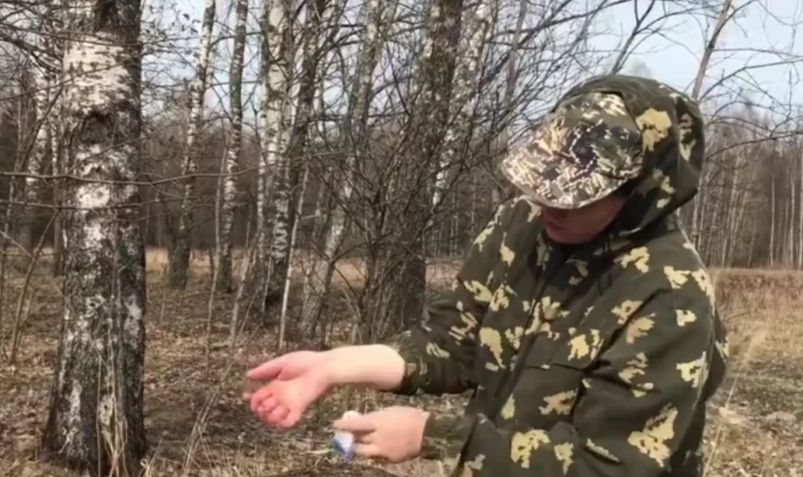 Натуральные репелленты от клещей: защита для любителей природы Натуральные репелленты от клещей: защита для любителей природы