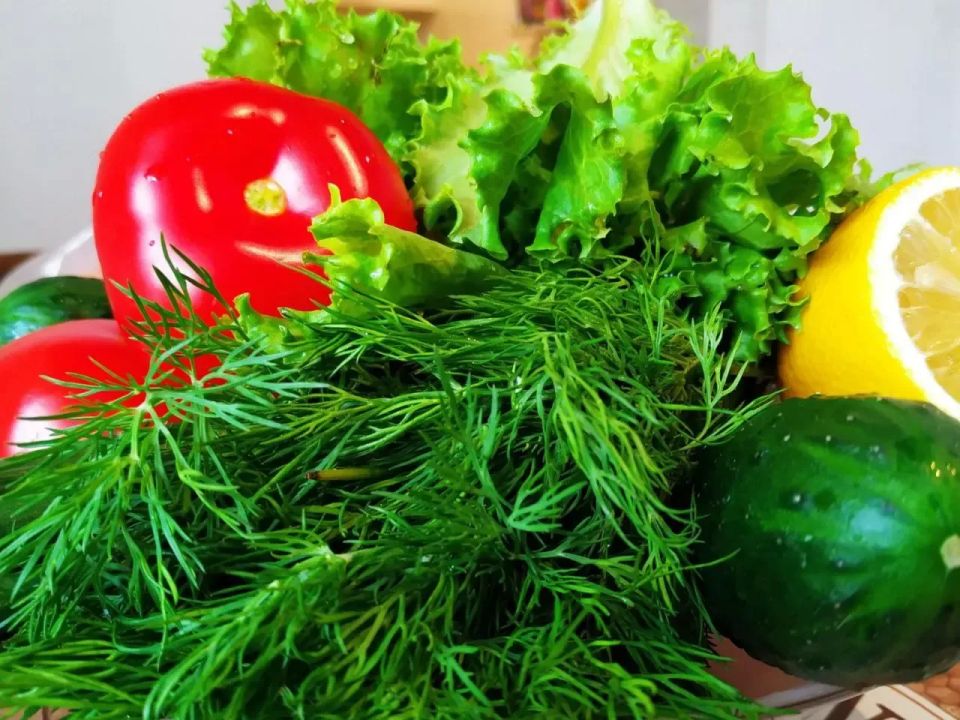 Как получить максимальный урожай овощей в июле: 9 проверенных советов
