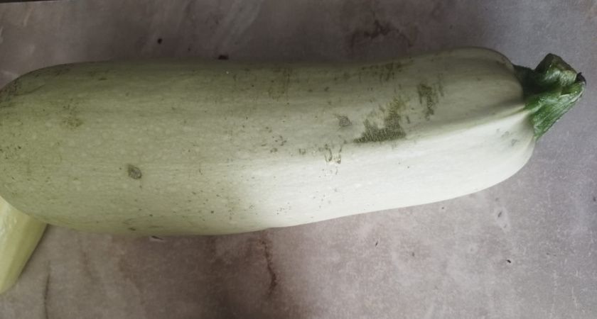 Лёгкая закуска из кабачков: идеальное дополнение к мясу