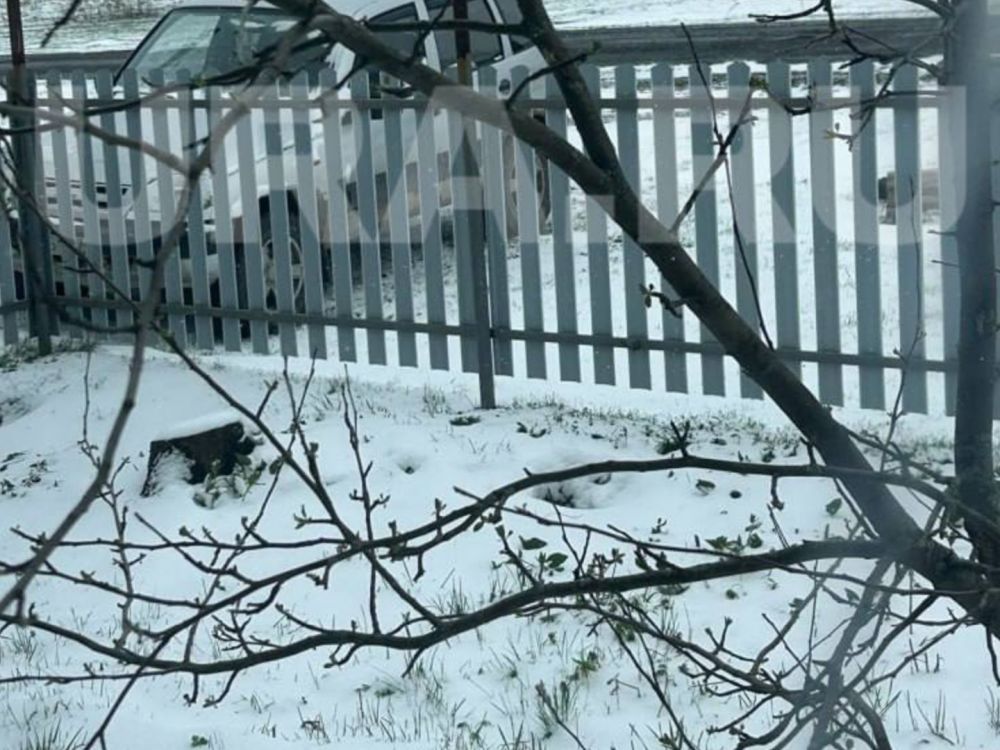 В Челябинской области весна вновь оставила свои права: снегопад удивил местных жителей