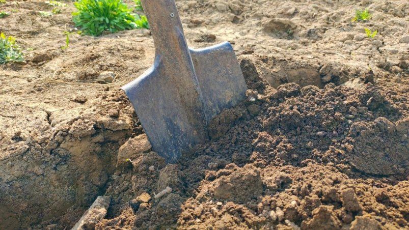 Как сделать почву мягкой и воздушной: секреты богатого урожая