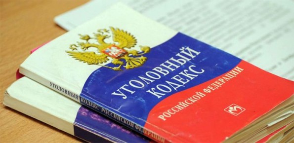 Проблема с безнадзорными собаками в Челябинске обернётся уголовным делом для местных властей