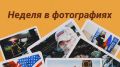 На украинском фронте: перемирия, переговоры и неожиданные скульптуры