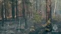 Пламя угрожает Забайкалью: МЧС на передовой борьбы с лесными пожарами