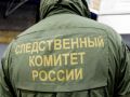 Трагедия на арене: смерть гимнастки во время циркового выступления шокировала страну