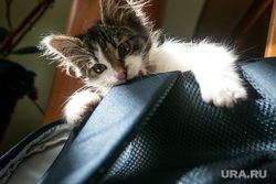Чем удивит Челябинск в эти выходные: фитнес, кулинария и семинары Чем удивит Челябинск в эти выходные: фитнес, кулинария и семинары
