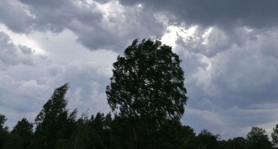  11 :      