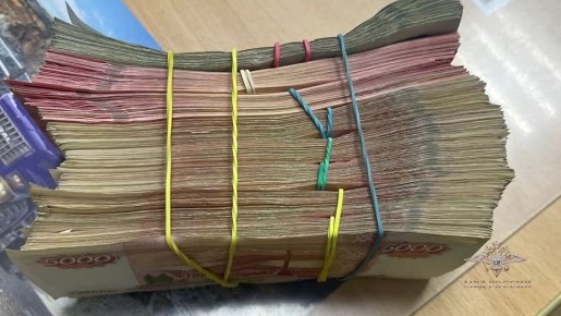 Ирина Волк: В Челябинской области мои коллеги из УБК ГУ МВД России по Ростовской области задержали подозреваемых в краже более 2,5 миллиона рублей у участника СВО