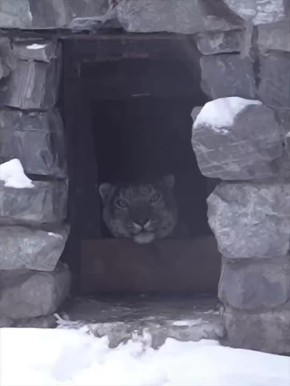 ����� �������� ����� �� ����� ��������� ��������� ��������� �������������� �������� ��. ����, �������� ����������